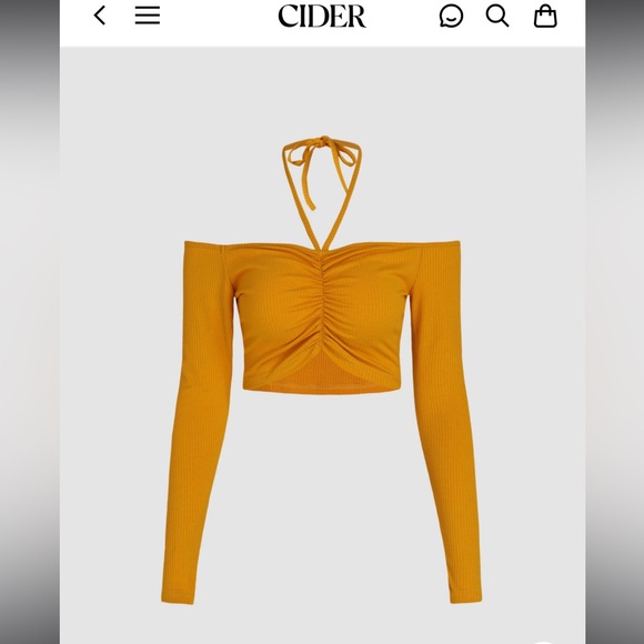 CIDER Ruched Rib Halter Top - Picture 1 of 11